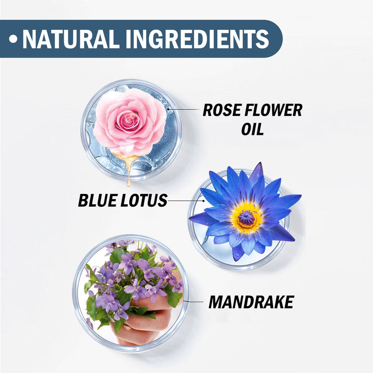 Alight Fragrance Natural Long Lasting Carry-on Fragrance My Store