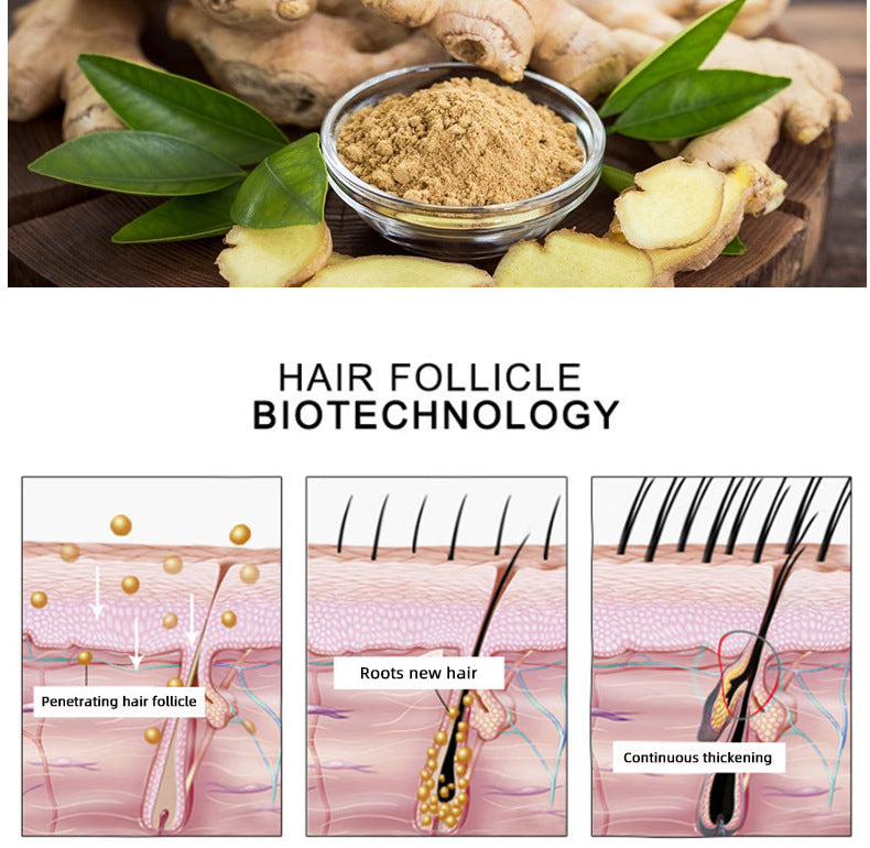 Hair Growth Oil Hair Growth Oil Oem Hair Care Essential Oil My Store