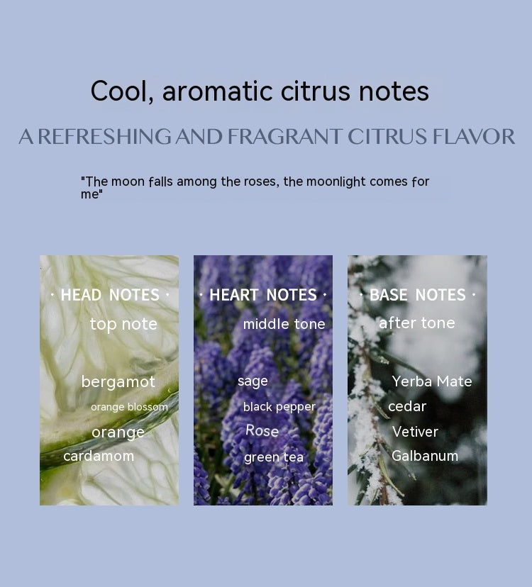 Aromatic Citrus Aromatic Perfume Long-lasting Perfume My Store