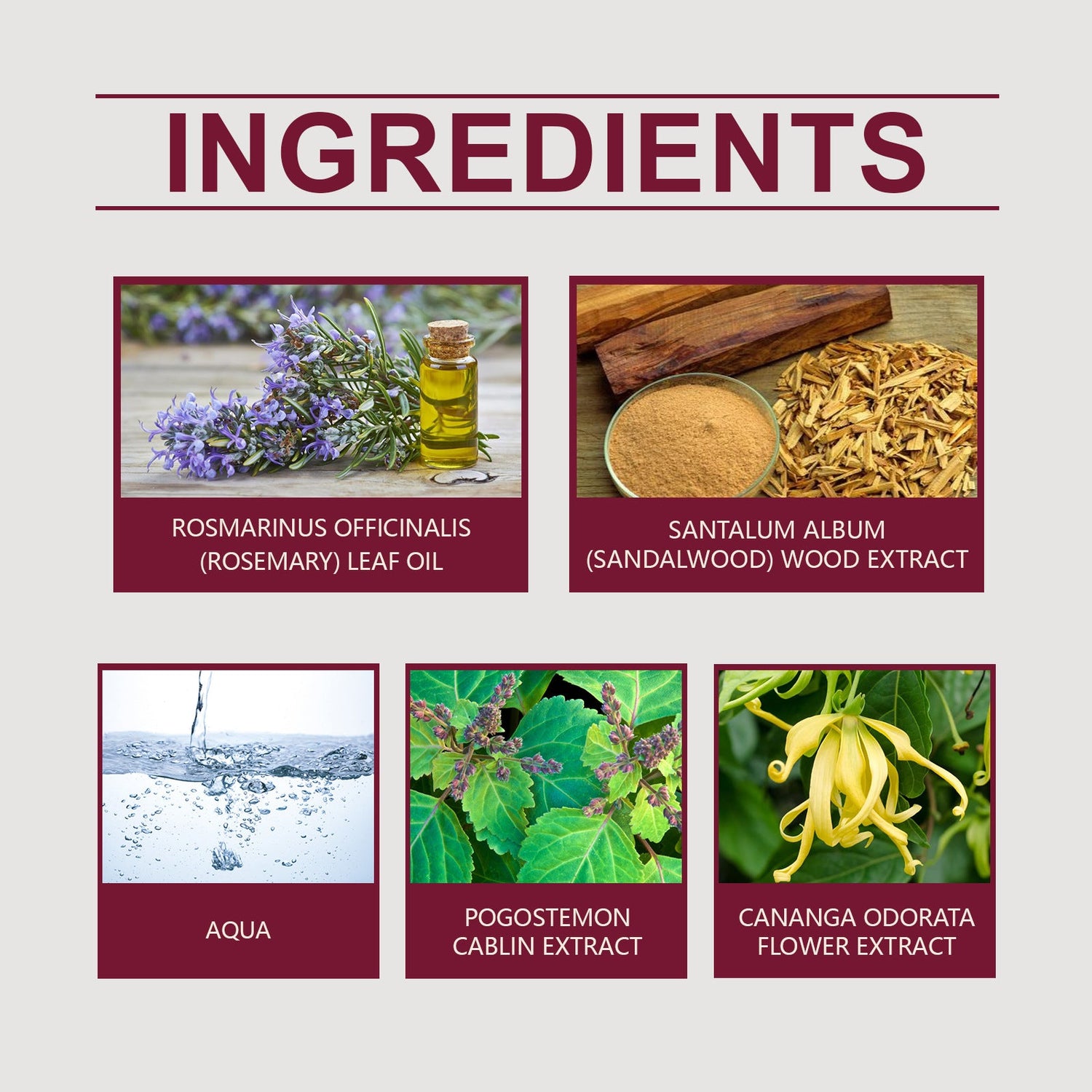 Dating Cologne Fragrance Agent Lasting Fragrance My Store